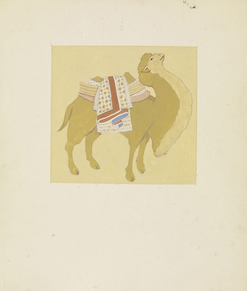 骆驼（披鞍）